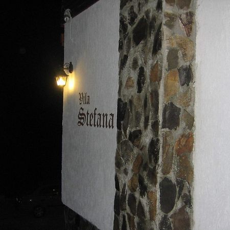 Vila Stefana Păltiniş Eksteriør billede